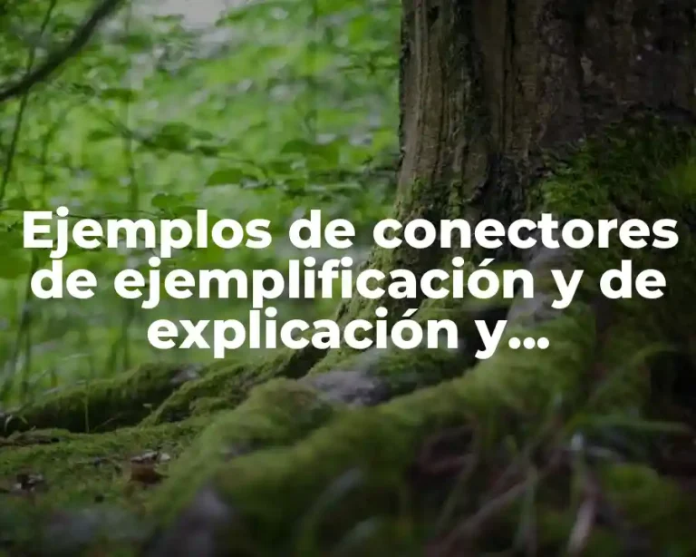 Ejemplos de conectores de ejemplificación y de explicación y Significado