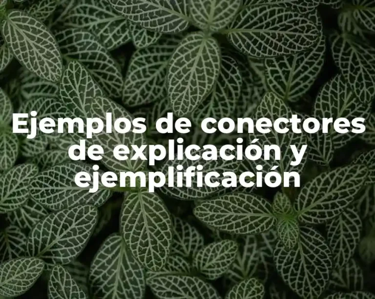 Ejemplos de conectores de explicación y ejemplificación