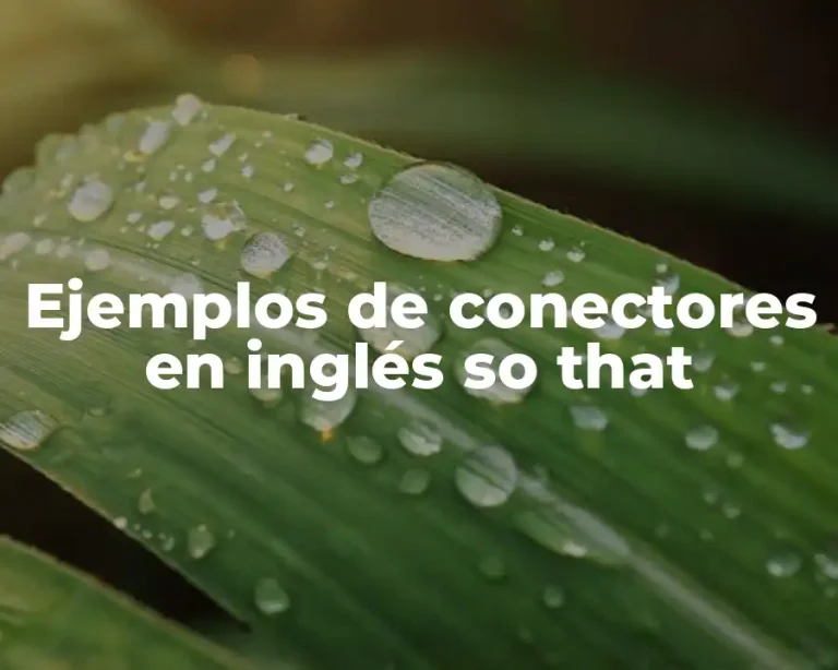 Ejemplos de conectores en inglés so that