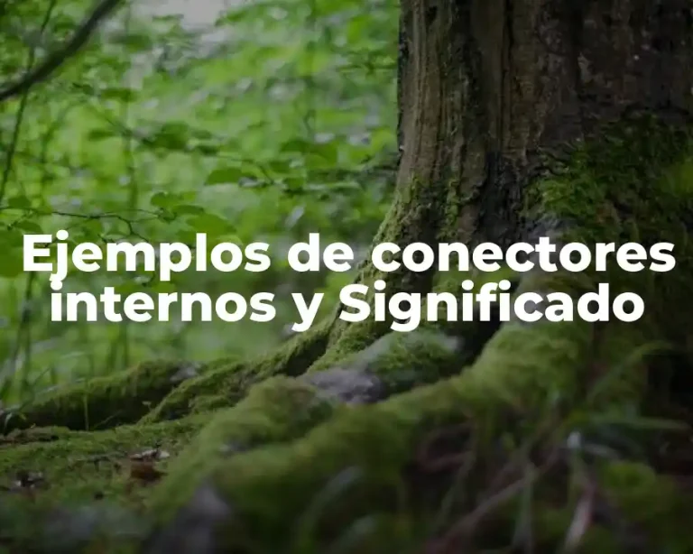 Ejemplos de conectores internos y Significado