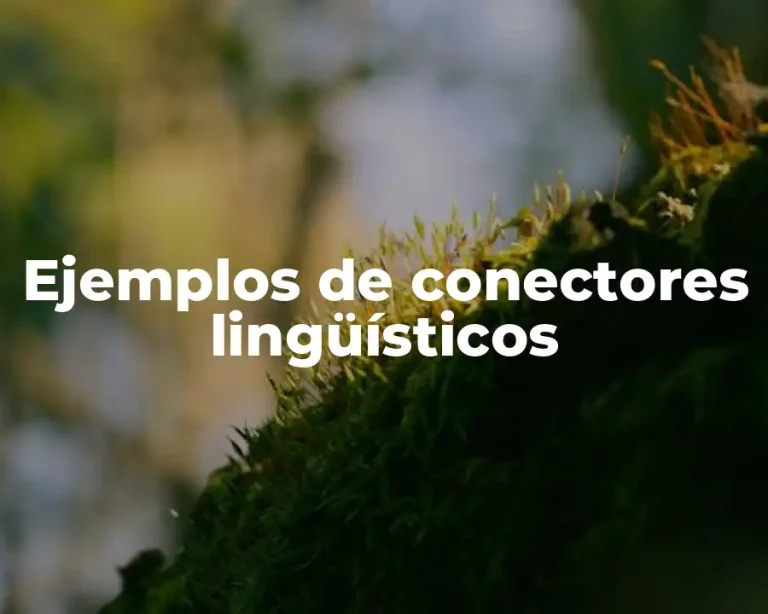 Ejemplos de conectores lingüísticos