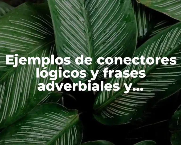 Ejemplos de conectores lógicos y frases adverbiales y Significado