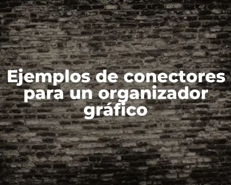 Ejemplos de conectores para un organizador gráfico