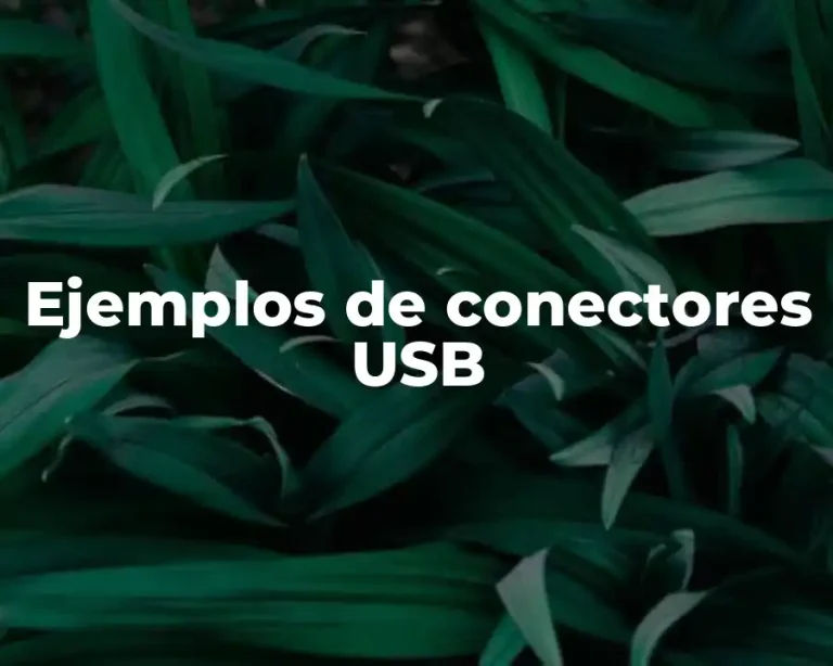 Ejemplos de conectores USB