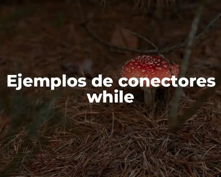 Ejemplos de conectores while