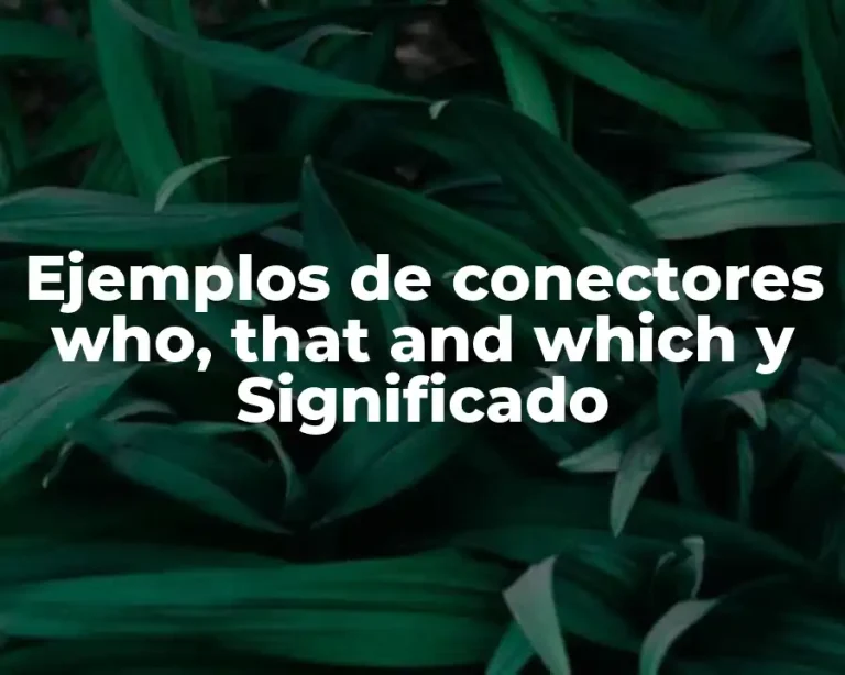 Ejemplos de conectores who, that and which y Significado