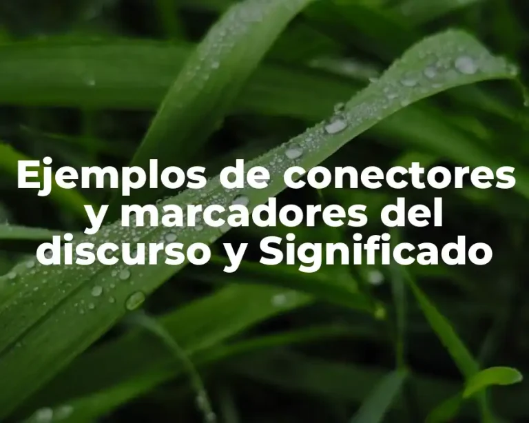 Ejemplos de conectores y marcadores del discurso y Significado