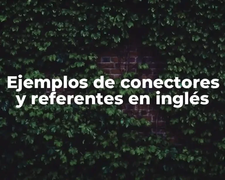 Ejemplos de conectores y referentes en inglés