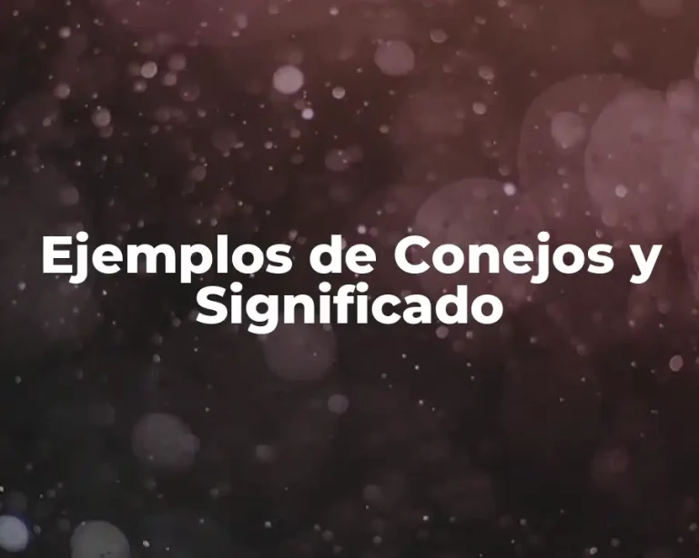 Ejemplos de Conejos y Significado
