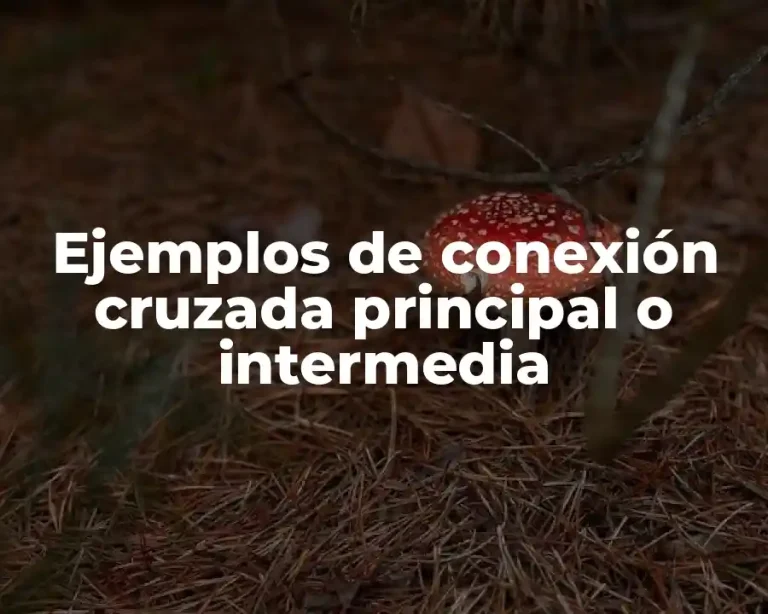 Ejemplos de conexión cruzada principal o intermedia
