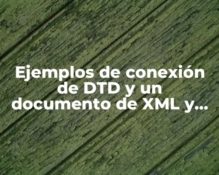 Ejemplos de conexión de DTD y un documento de XML y Significado