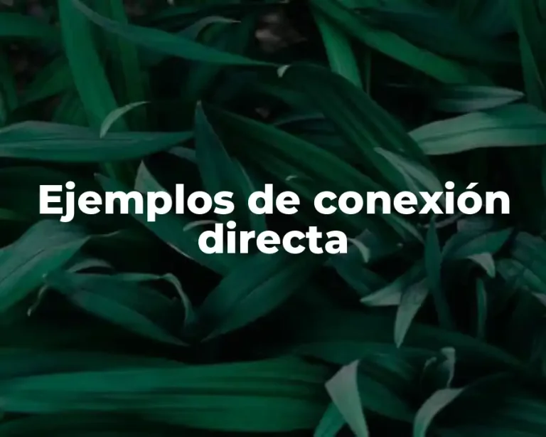 Ejemplos de conexión directa