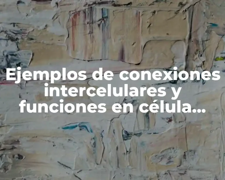 Ejemplos de conexiones intercelulares y funciones en célula vegetal