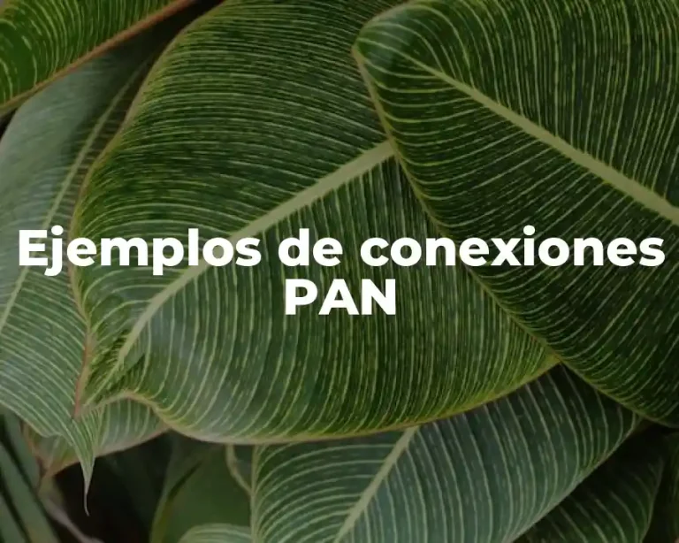 Ejemplos de conexiones PAN