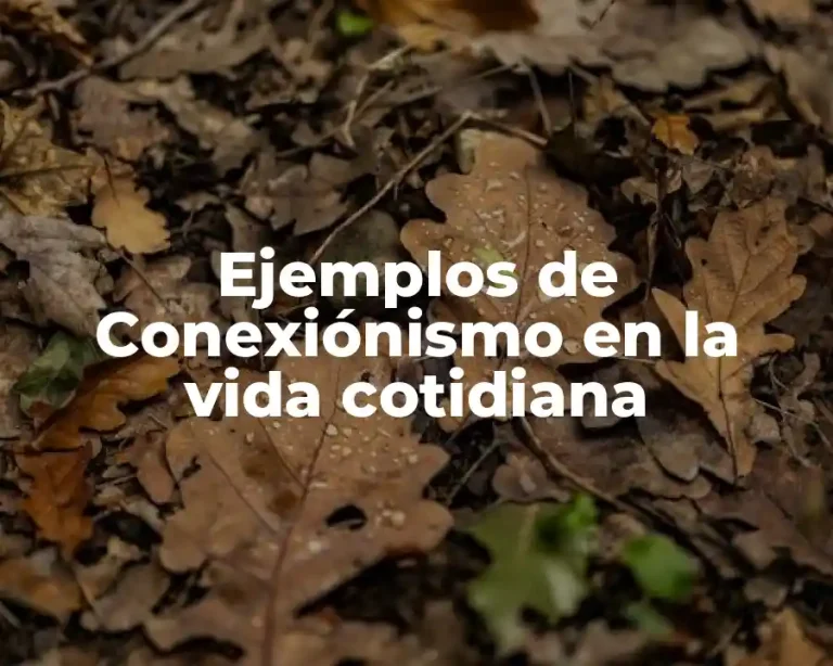 Ejemplos de Conexiónismo en la vida cotidiana