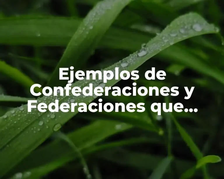 Ejemplos de Confederaciones y Federaciones que existen en México