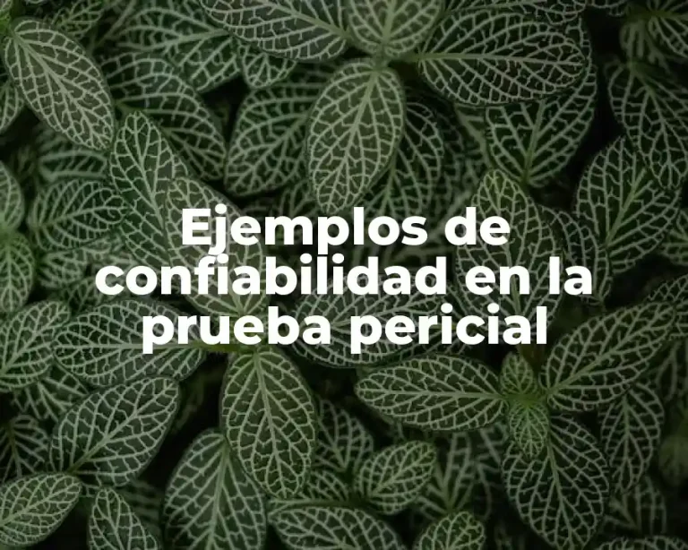 Ejemplos de confiabilidad en la prueba pericial