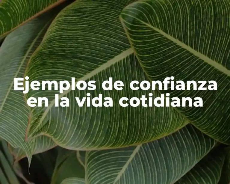 Ejemplos de confianza en la vida cotidiana