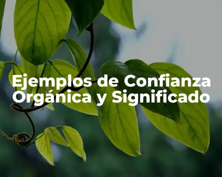 Ejemplos de Confianza Orgánica y Significado