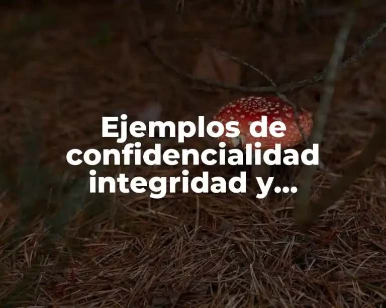 Ejemplos de confidencialidad integridad y disponibilidad