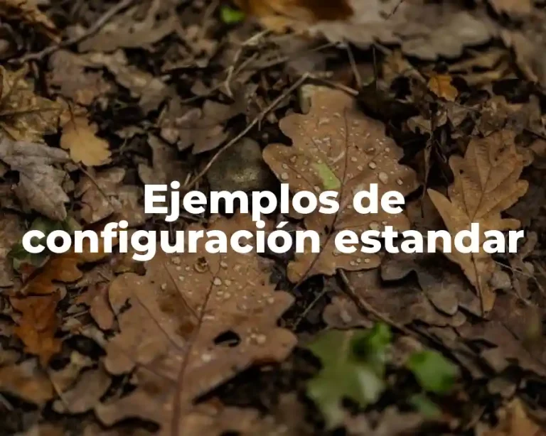 Ejemplos de configuración estandar