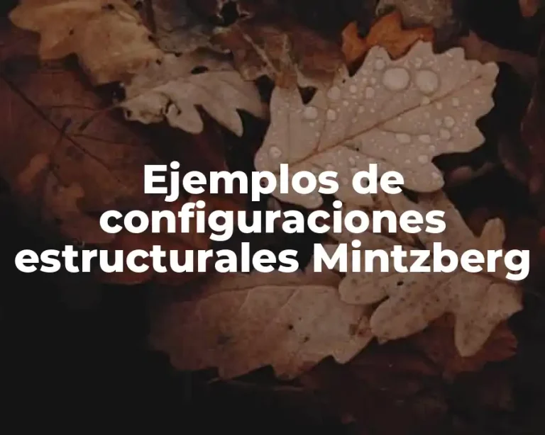 Ejemplos de configuraciones estructurales Mintzberg
