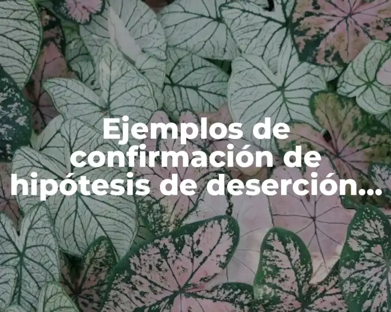 Ejemplos de confirmación de hipótesis de deserción escolar