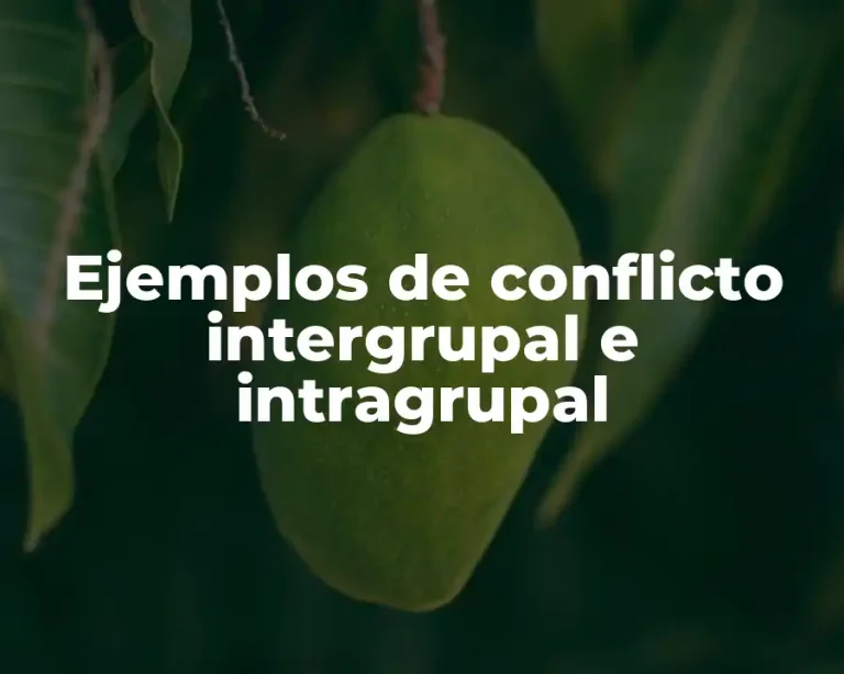 Ejemplos de conflicto intergrupal e intragrupal
