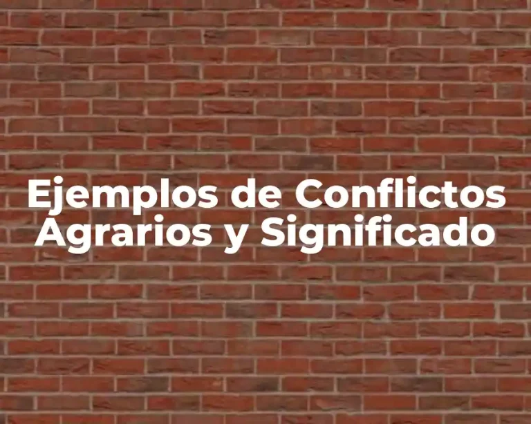 Ejemplos de Conflictos Agrarios y Significado