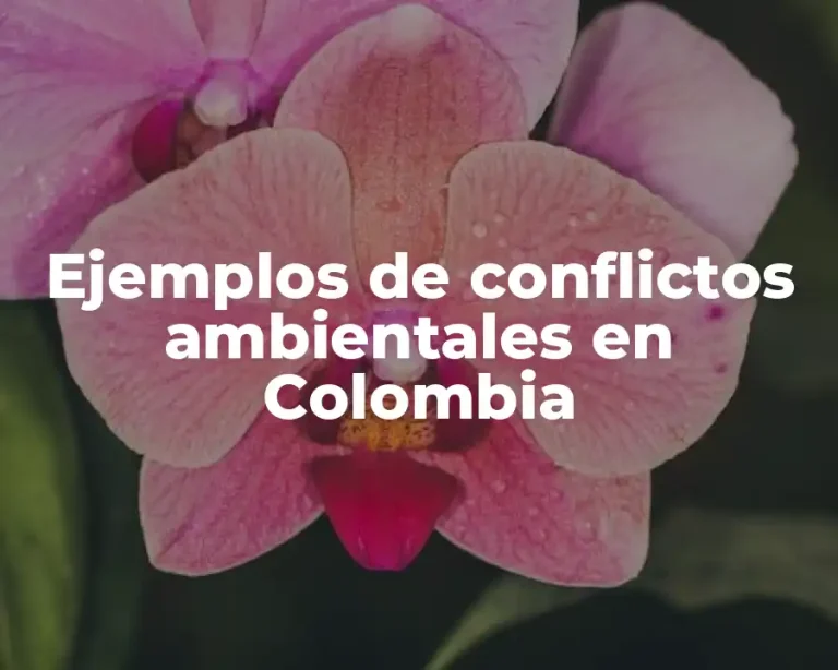 Ejemplos de conflictos ambientales en Colombia
