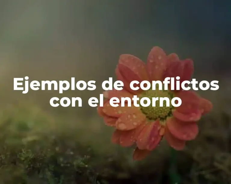 Ejemplos de conflictos con el entorno