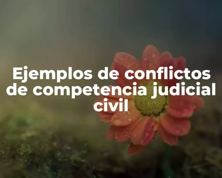 Ejemplos de conflictos de competencia judicial civil