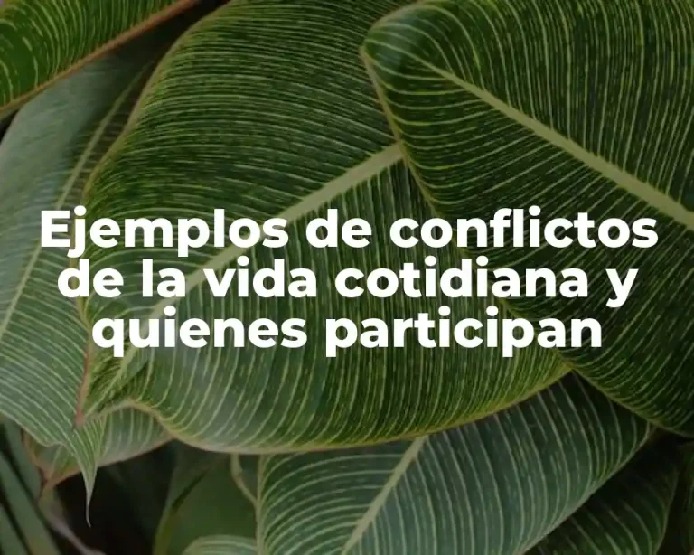 Ejemplos de conflictos de la vida cotidiana y quienes participan