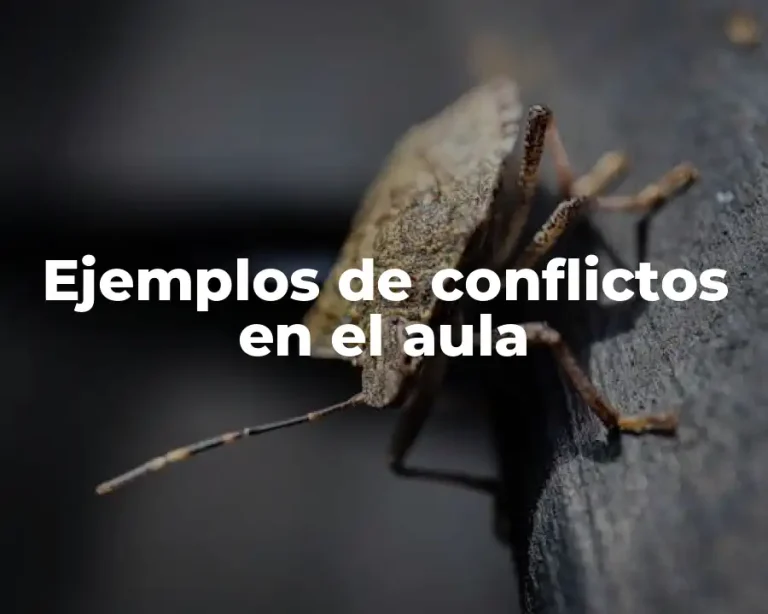 Ejemplos de conflictos en el aula