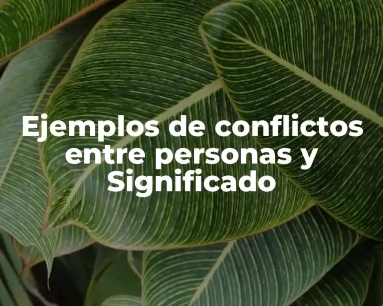 Ejemplos de conflictos entre personas y Significado
