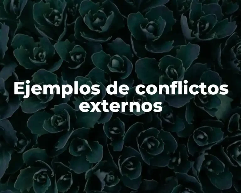 Ejemplos de conflictos externos