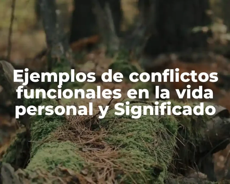 Ejemplos de conflictos funcionales en la vida personal y Significado