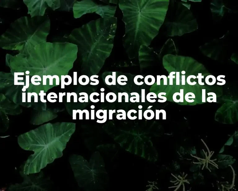 Ejemplos de conflictos internacionales de la migración