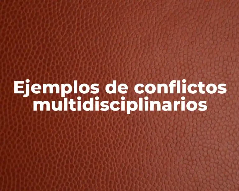 Ejemplos de conflictos multidisciplinarios