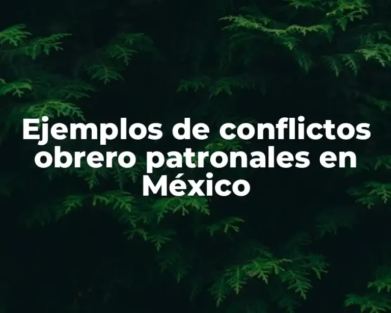 Ejemplos de conflictos obrero patronales en México