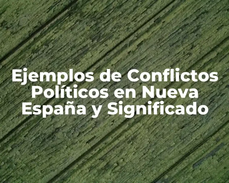 Ejemplos de Conflictos Políticos en Nueva España y Significado