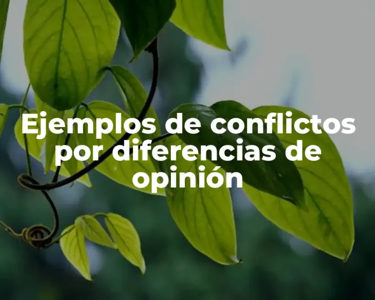 Ejemplos de conflictos por diferencias de opinión