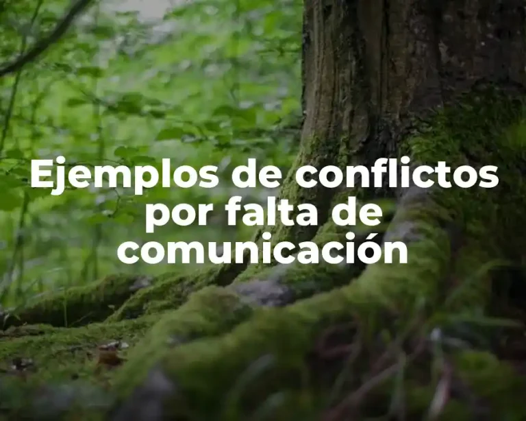 Ejemplos de conflictos por falta de comunicación