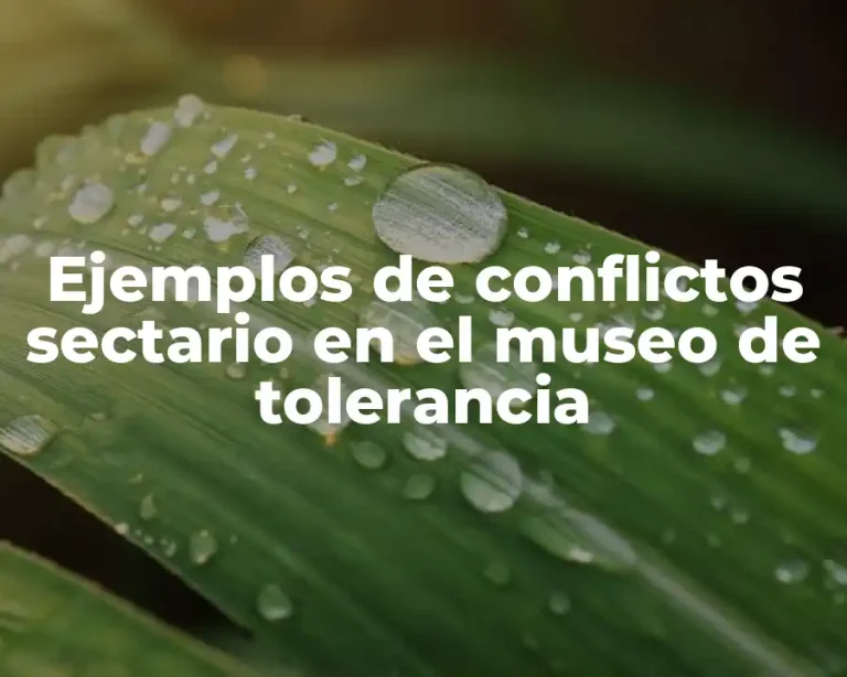 Ejemplos de conflictos sectario en el museo de tolerancia