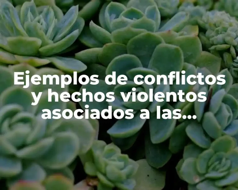 Ejemplos de conflictos y hechos violentos asociados a las desigualdades