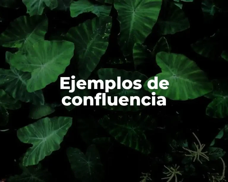 Ejemplos de confluencia