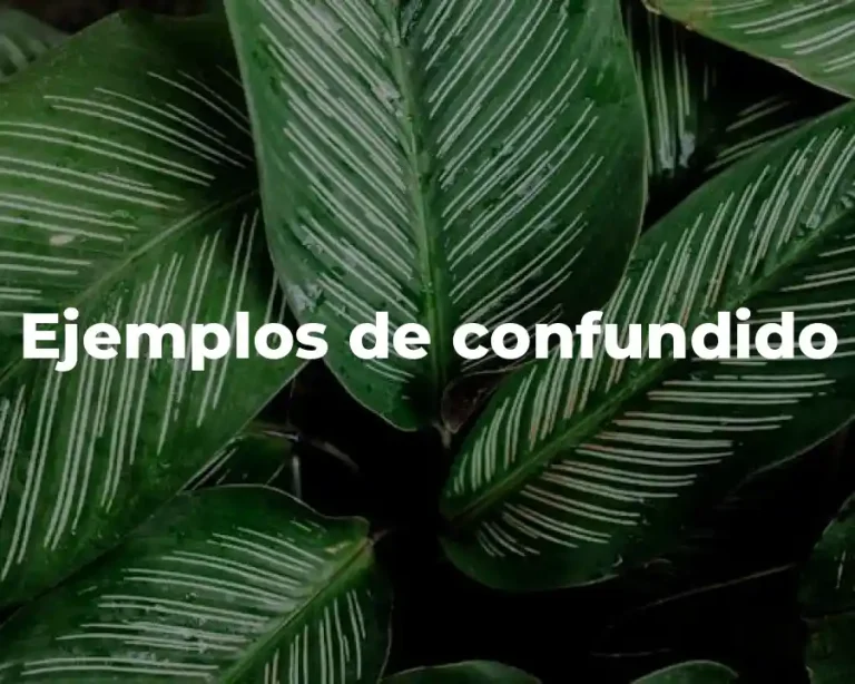Ejemplos de confundido