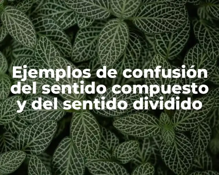 Ejemplos de confusión del sentido compuesto y del sentido dividido