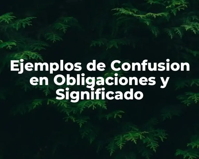 Ejemplos de Confusion en Obligaciones y Significado