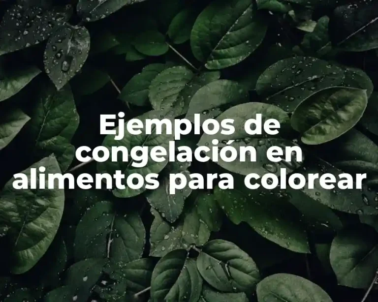 Ejemplos de congelación en alimentos para colorear